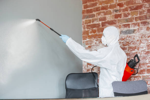 Best Industrial Mold Remediation  in Great Falls, SC