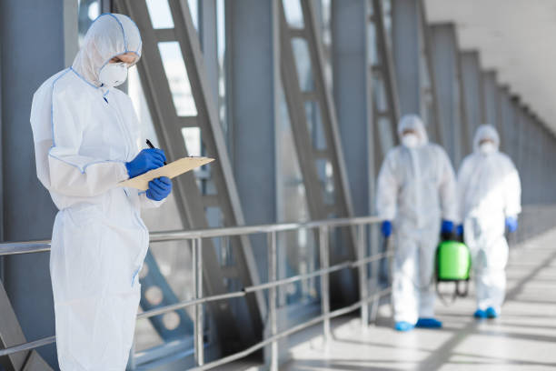 Best Basement Mold Removal  in Great Falls, SC