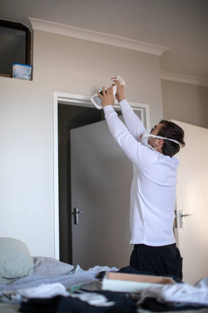 Best Mold Documentation for Insurance Claims  in Great Falls, SC