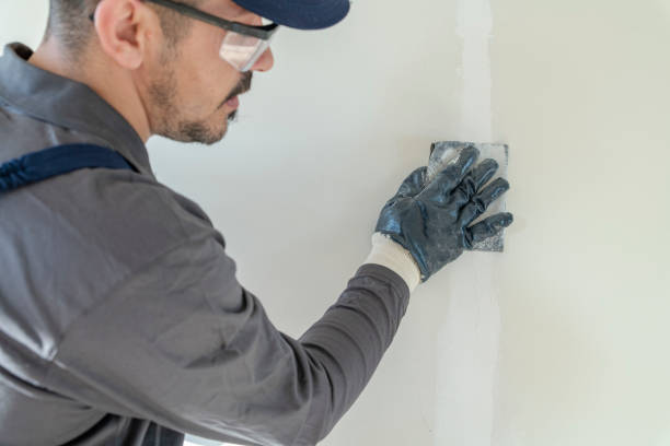 Best Attic Mold Removal  in Great Falls, SC