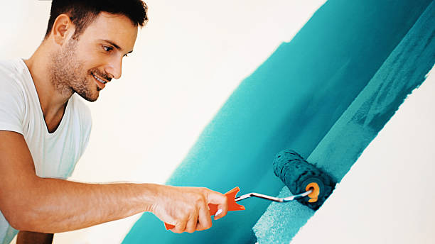 Best Black Mold Removal  in Great Falls, SC